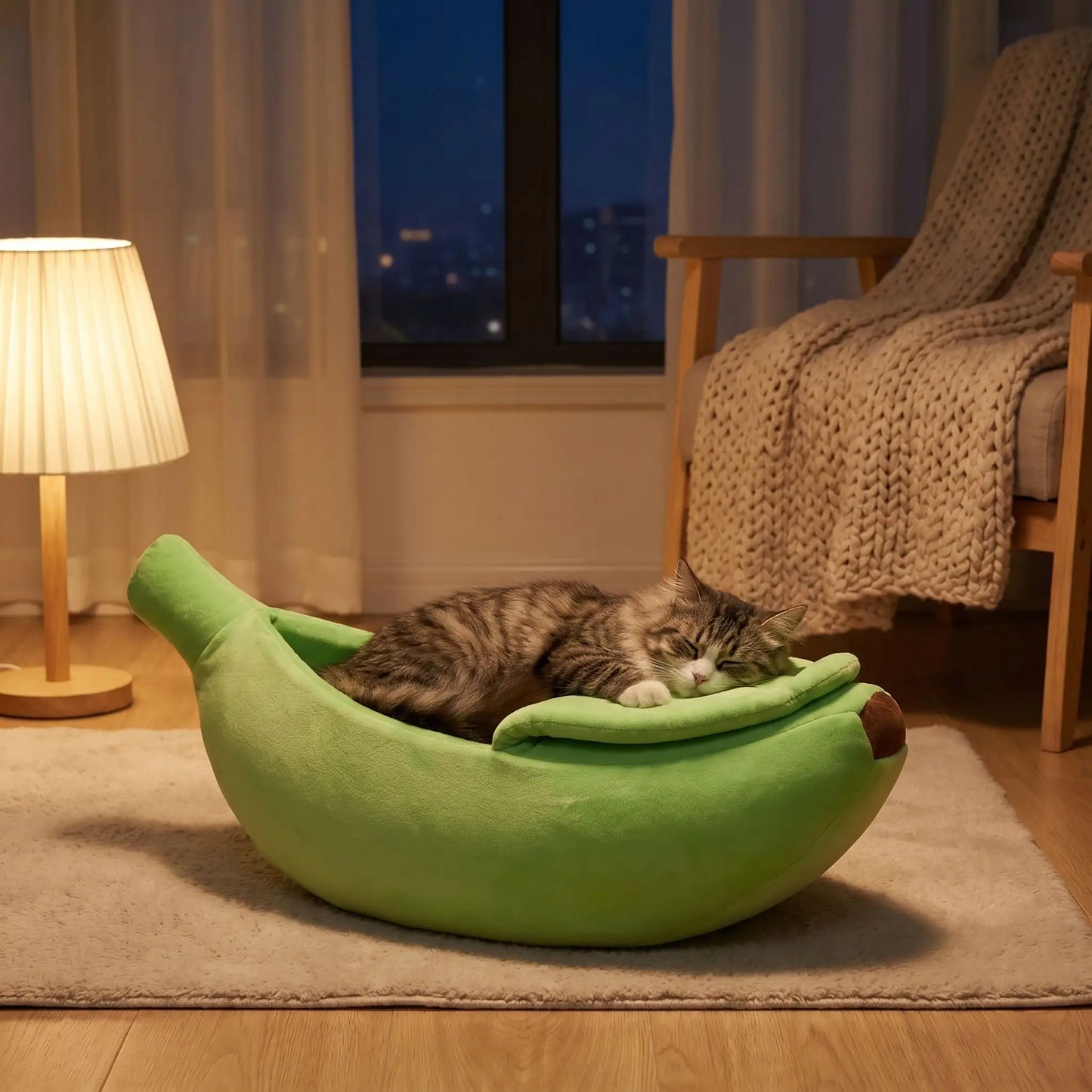 couchage pour chat nuit lampe fauteuil tapis immeuble