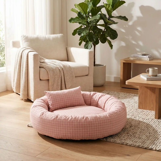 Le guide complet du couchage pour chat