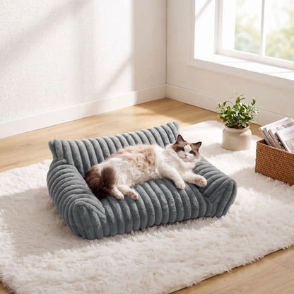 canape pour chat tapis blanc plante livre
