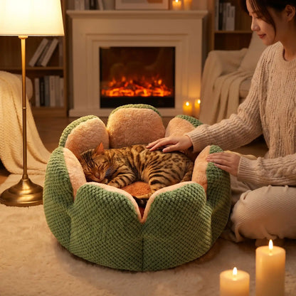 couchage pour chat bougie lampe femme bengal livre