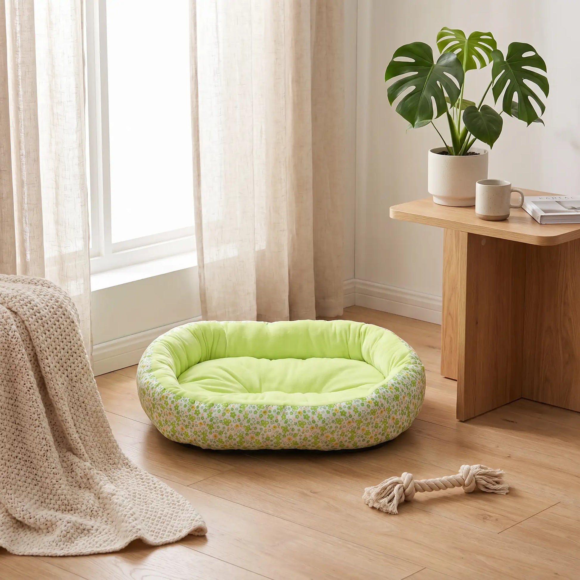 couchage pour chat couleur vert mug livre rideaux