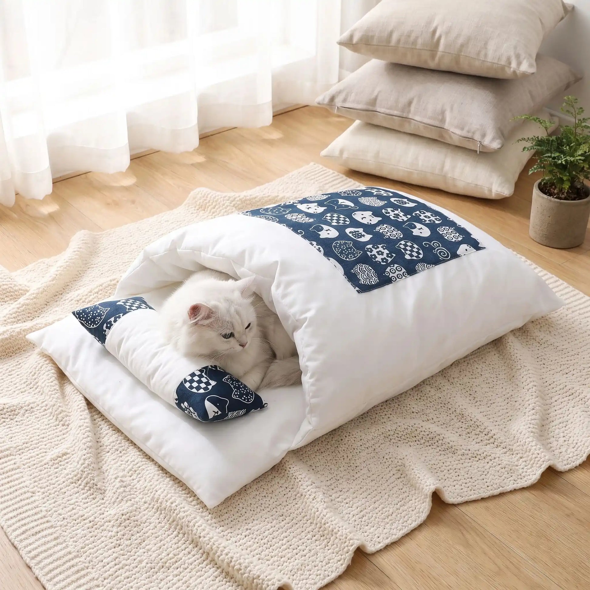 couchage pour chat coussin blanc rideaux petite plante