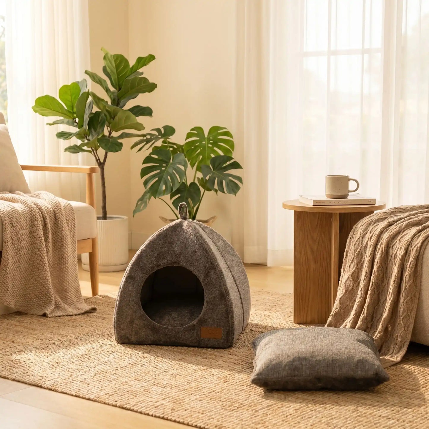 couchage pour chat coussin plante verte rideaux table basse