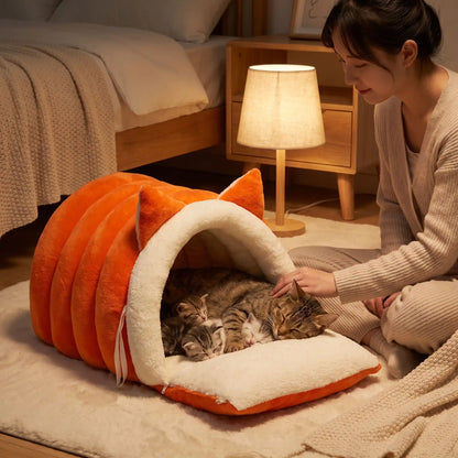 couchage pour chat femme caresse chat chaton