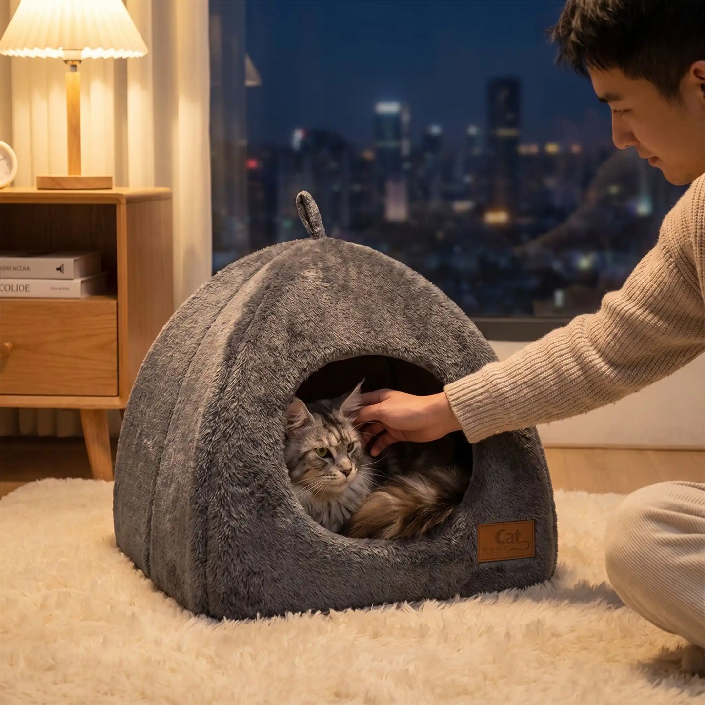 couchage pour chat homme caresse chat nuit lampe