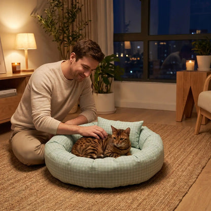 couchage pour chat homme nuit lampe bengal bougie