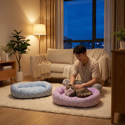 couchage pour chat violet bleu homme nuit lampe