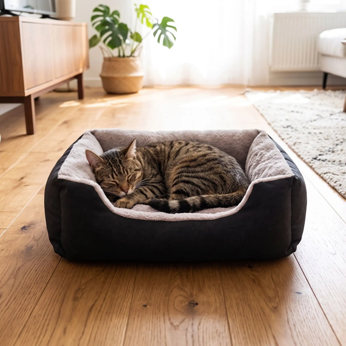 couchages pour chats radiateur rideaux tapis