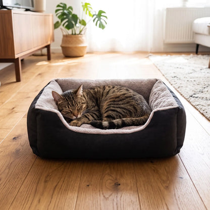 couchages pour chats radiateur rideaux tapis