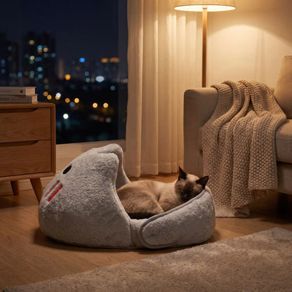 couchages pour chats siamois lampe immeuble nuit