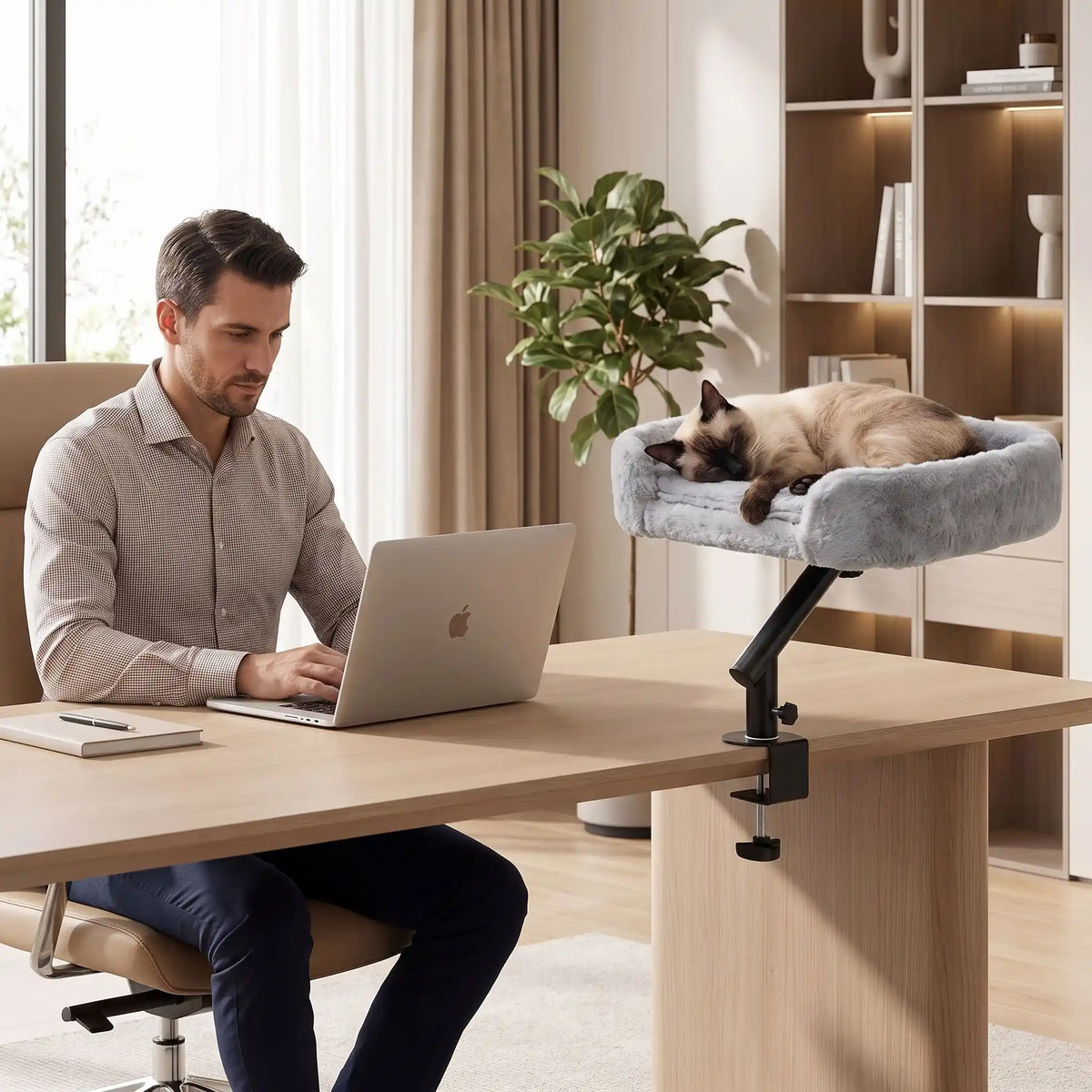 hamac à chat homme travail bureaux stylo