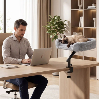 hamac à chat homme travail bureaux stylo