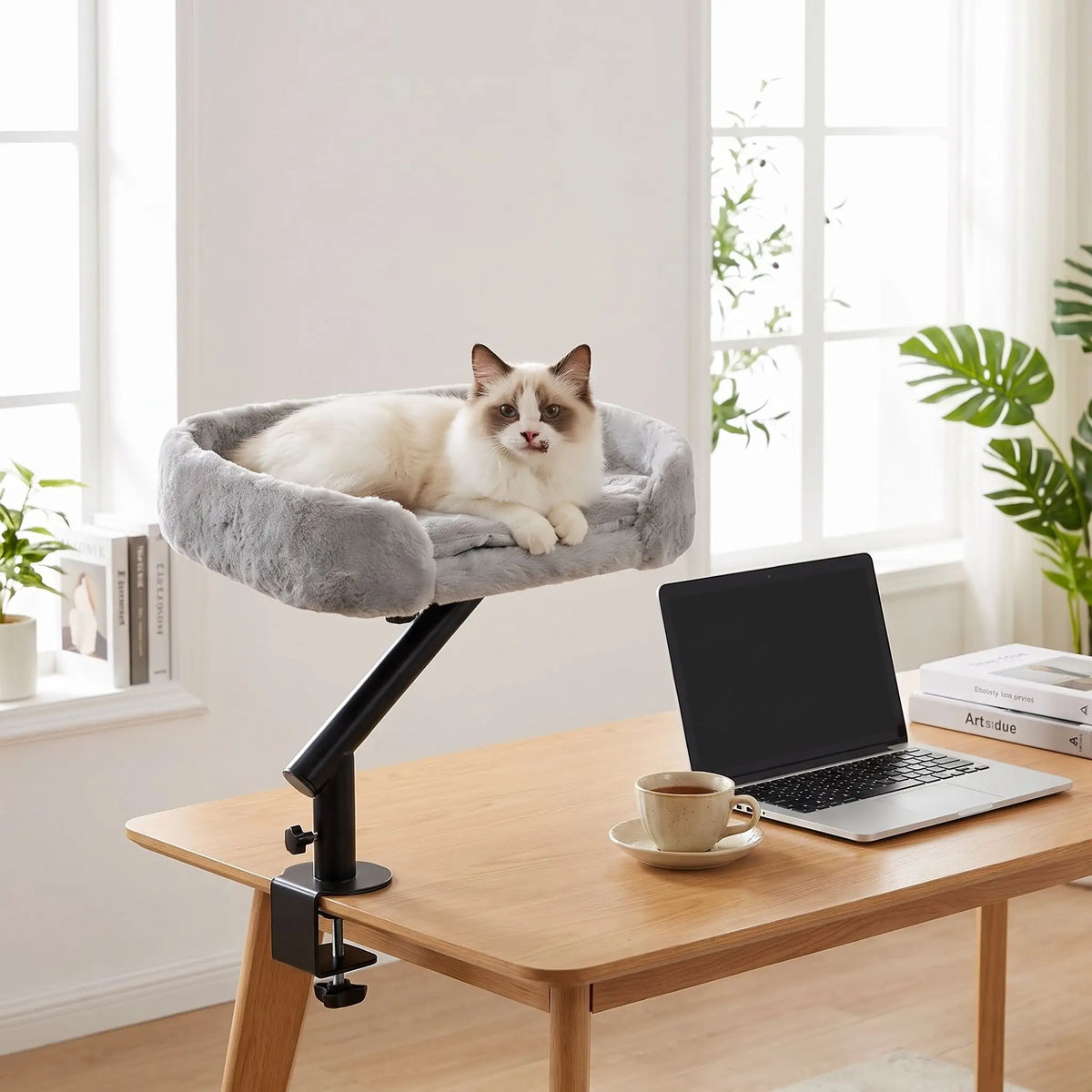 hamac à chat pc portable verre bureaux livre