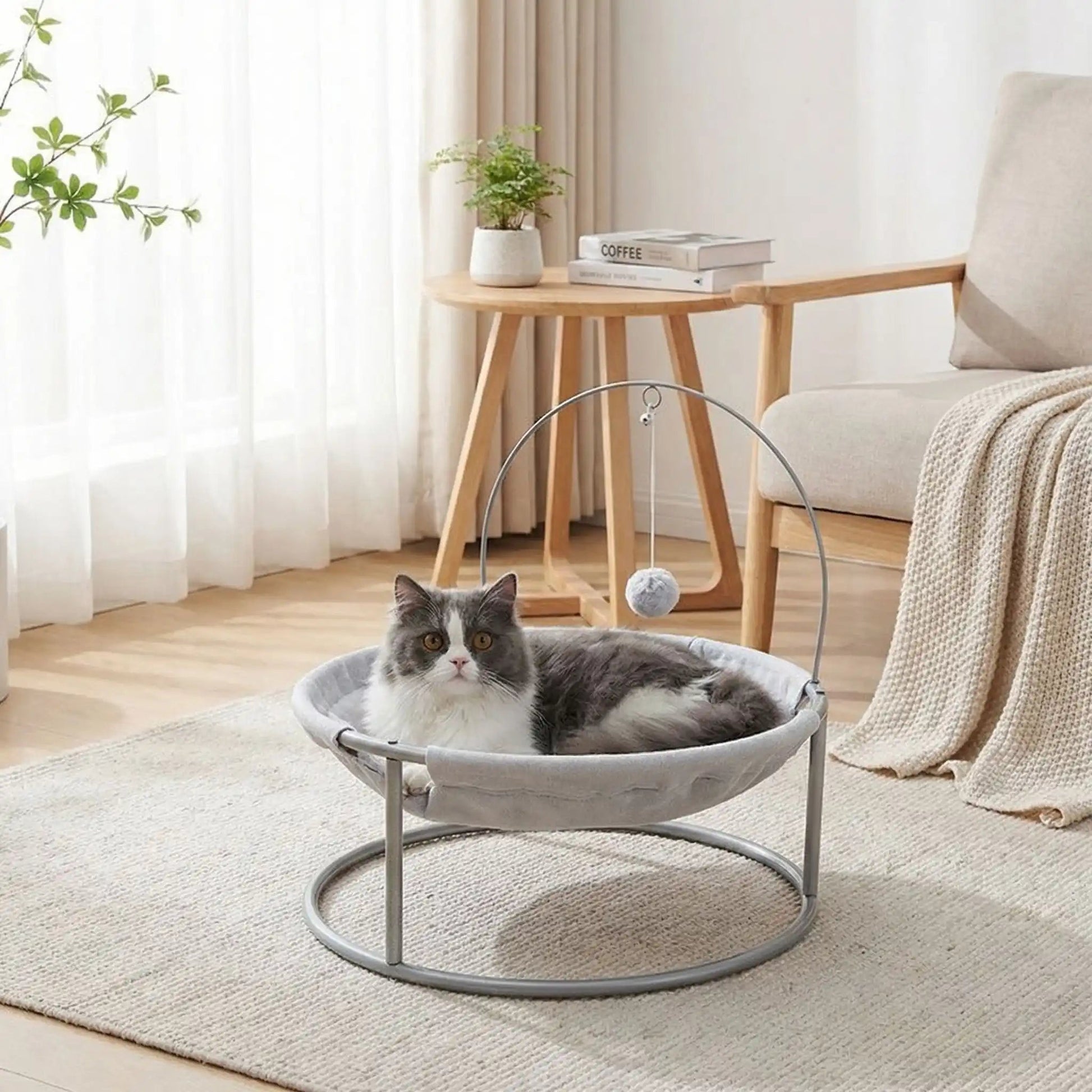 hamac chat couleur gris tapis couverture plante livre