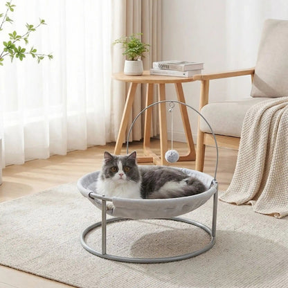 hamac chat couleur gris tapis couverture plante livre