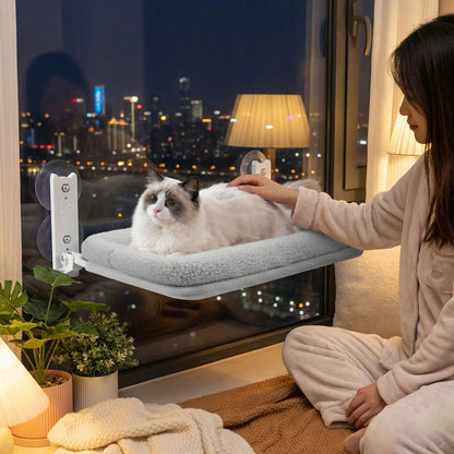 hamac chat femme caresse chat nuit lampe plante