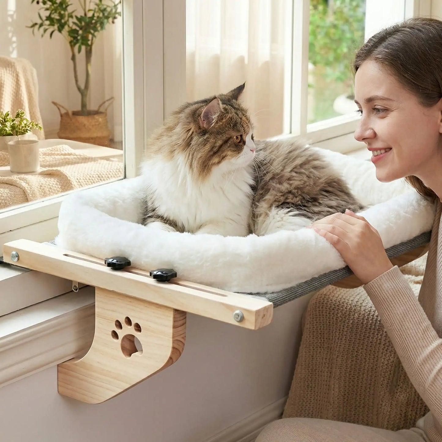 hamac chat fenetre femme souriante arbre plante verte