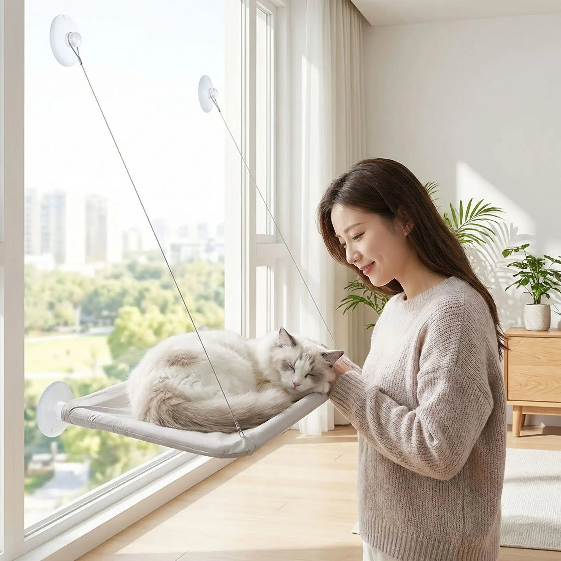hamac chat fenetre femme souriante tapis blanc plante