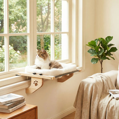 hamac chat fenetre livre arbre plante verte meuble