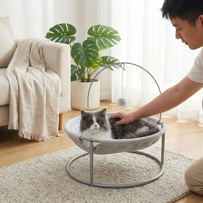 hamac chat homme caresse chat plante tapis couverture