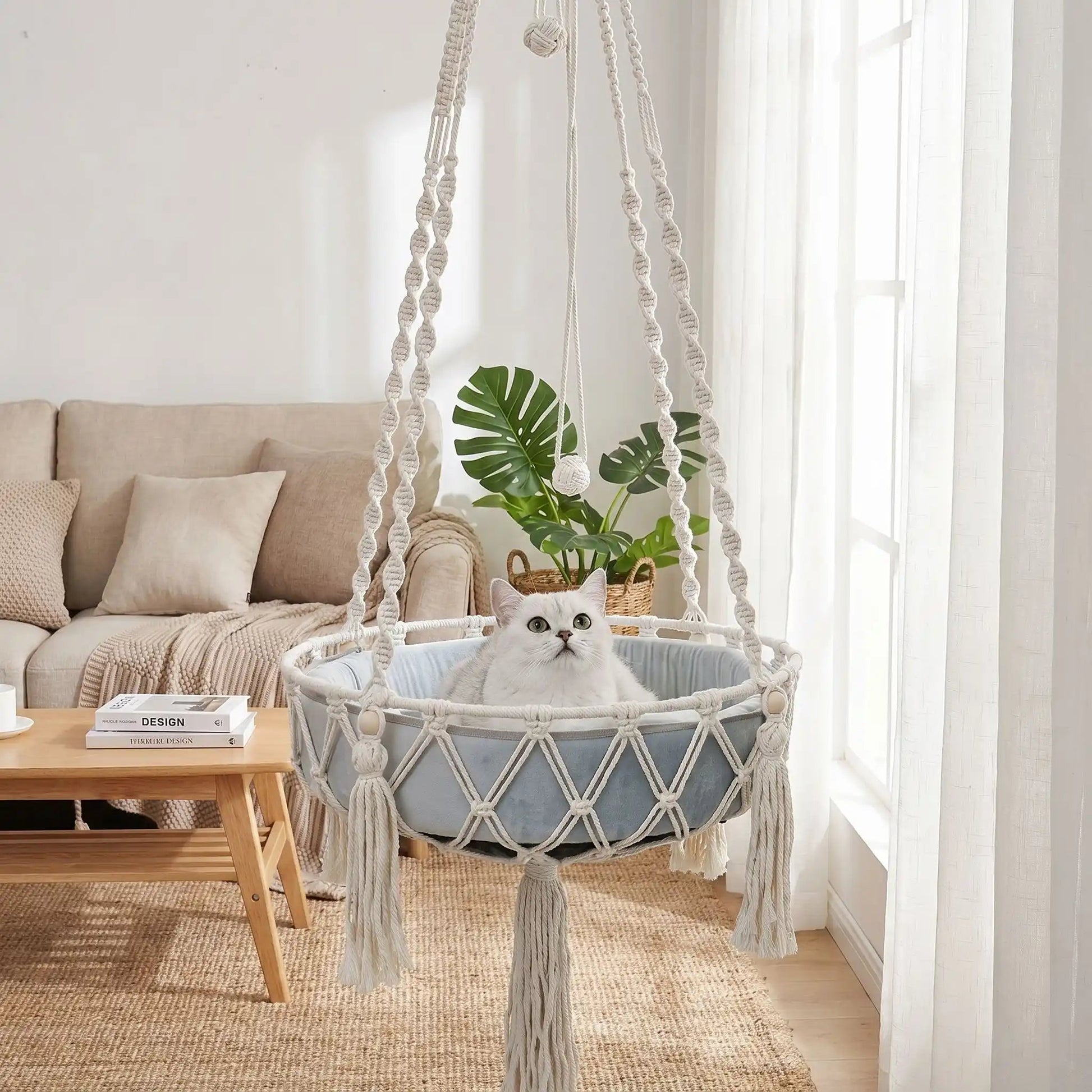 hamac chat tapis coussin livre blanc table rideaux