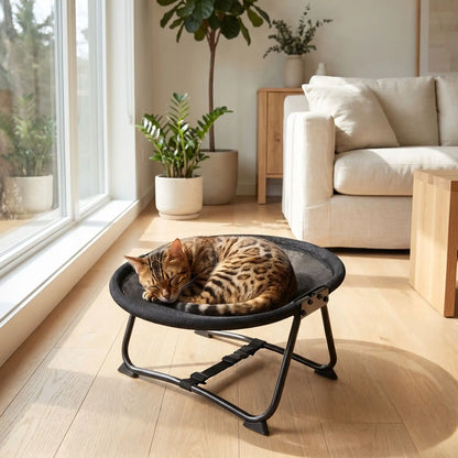 hamac pour chat bengal coussin blanc meuble plante verte