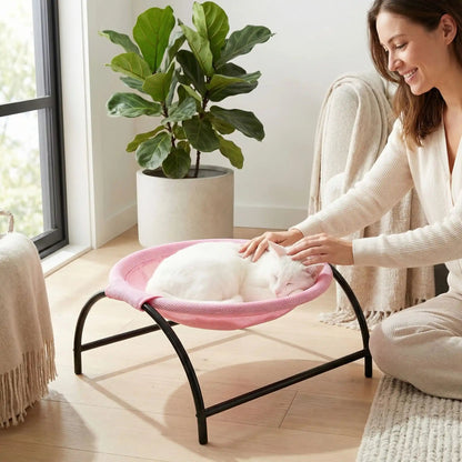 hamac pour chat femme caresse chat blanc tapis