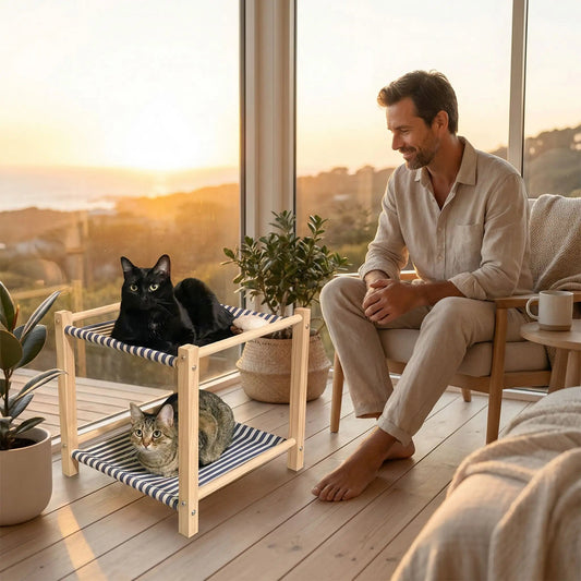 hamac pour chat homme regarde chat verre plante verte