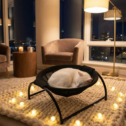 hamac pour chat noir lampe mug tapis guirlande
