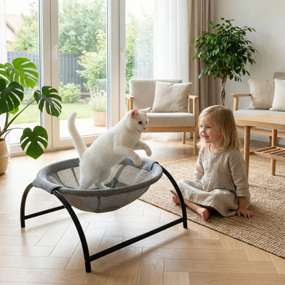 hamac pour chat petite filles regarde chat coussin