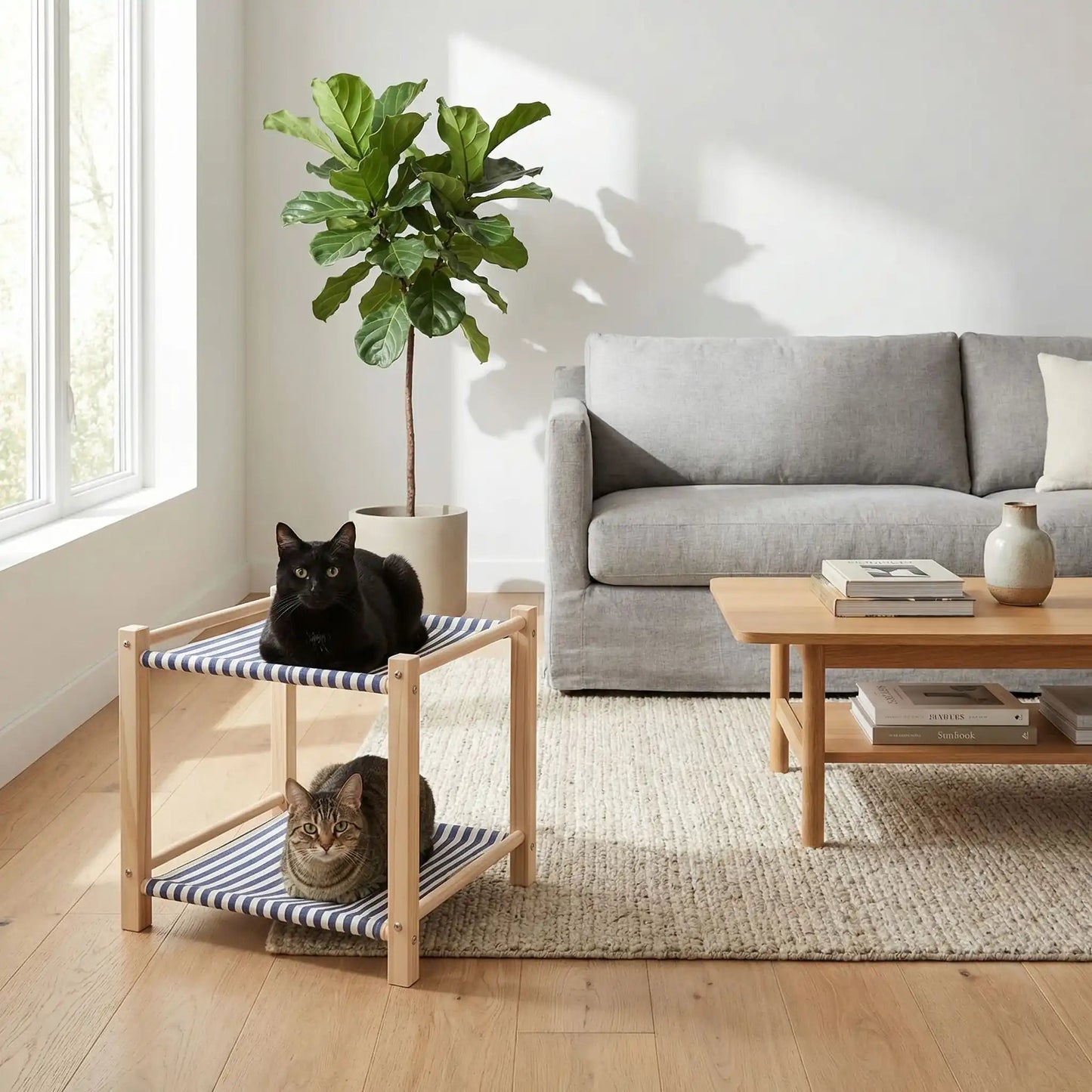 hamac pour chat plante tapis vase coussin table