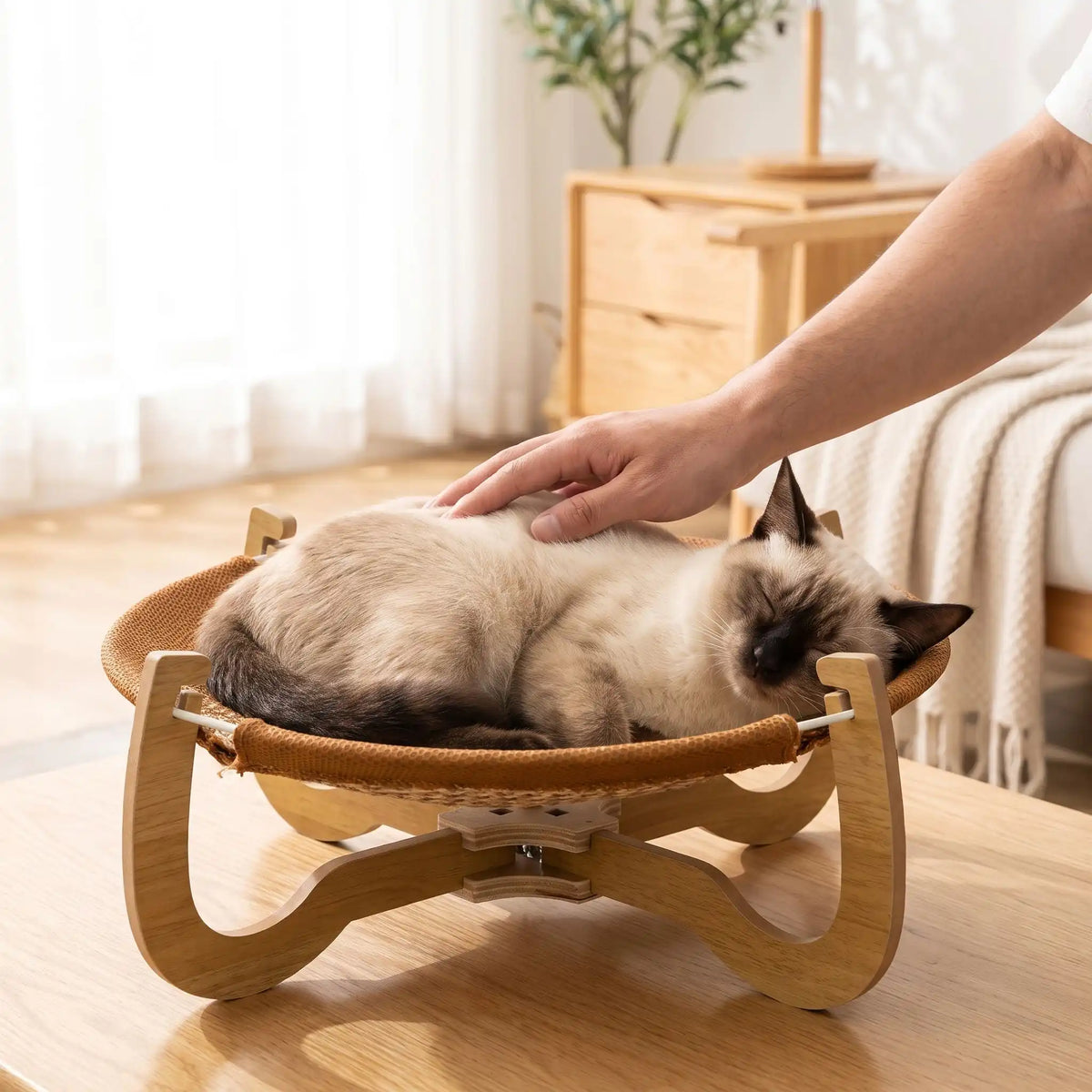 lit pour chat siamois meuble rideaux plante
