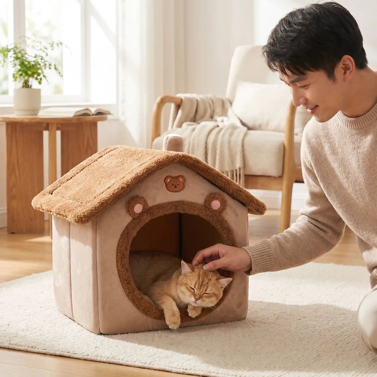 maison pour chats homme caresse chat table basse livre