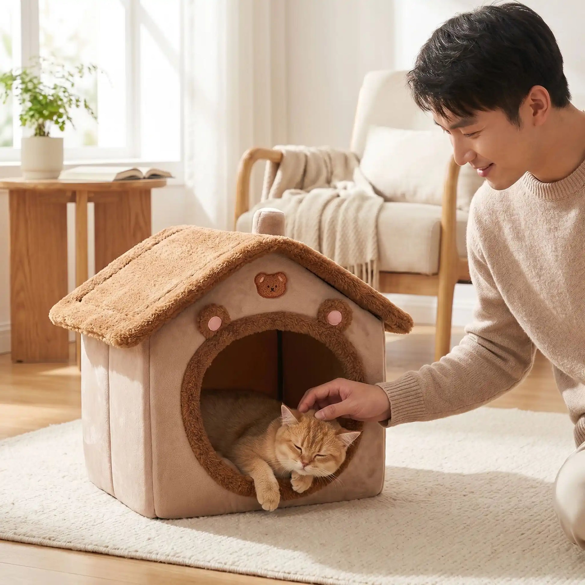 maison pour chats homme caresse chat table basse livre