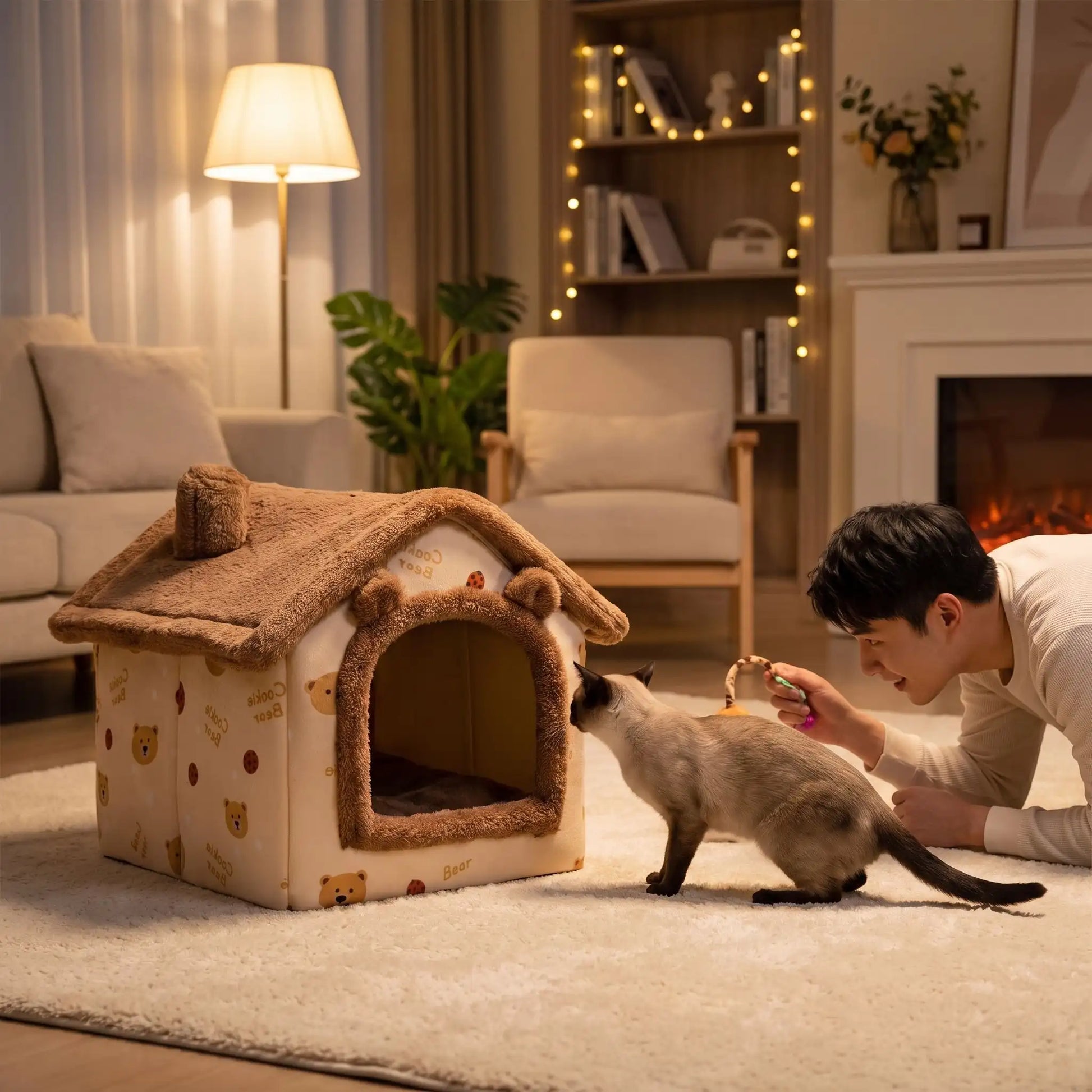 maison pour chats homme joue siamois lampe fauteuil
