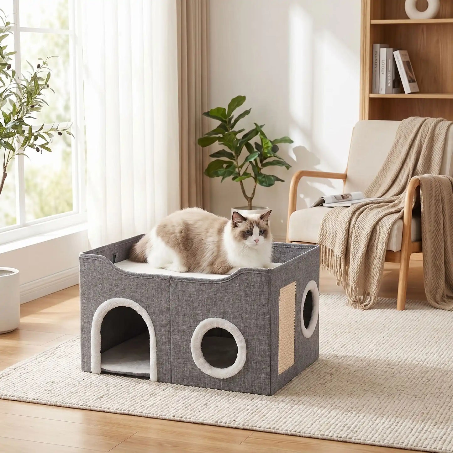 maison pour chats plante verte livre fauteuil rideaux