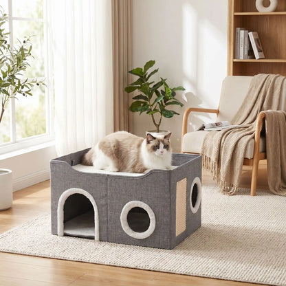 maison pour chats plante verte livre fauteuil rideaux