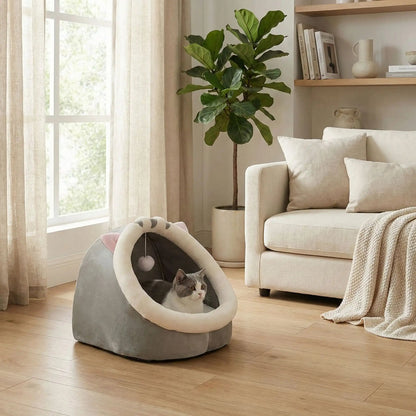 panier chat couverture plante verte vase livre coussin