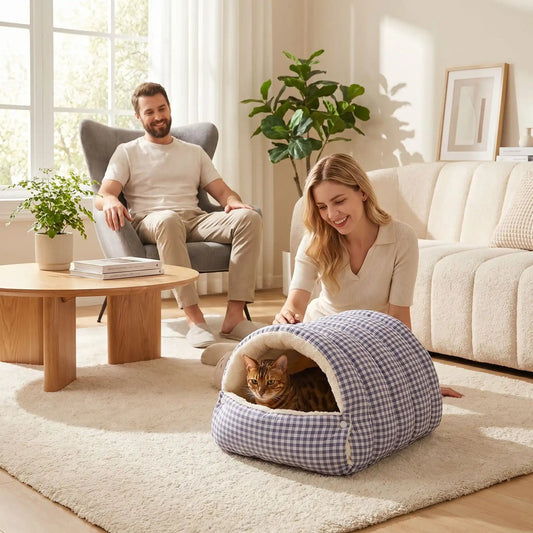 panier chat femme souriante homme assis fauteuil tableaux