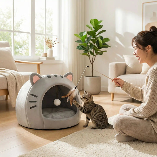 panier chat gris femme joue tapis plante verte