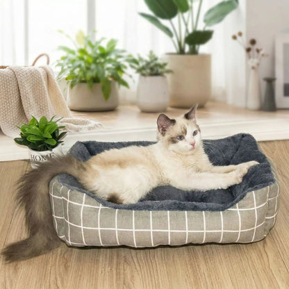 panier chat gris plante verte vase-blanc couverture