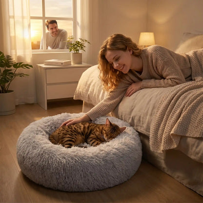 panier chat homme regarde femme souriante chat bengal