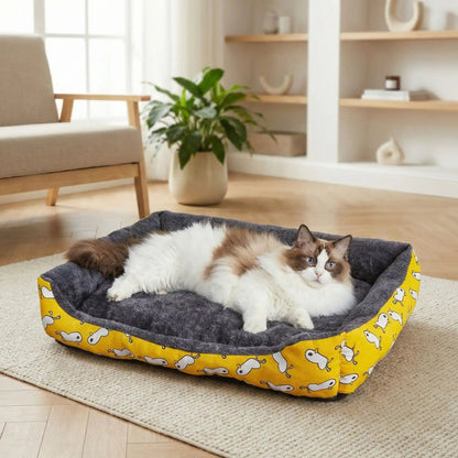 panier chat plante verte tapis vase rideaux livre