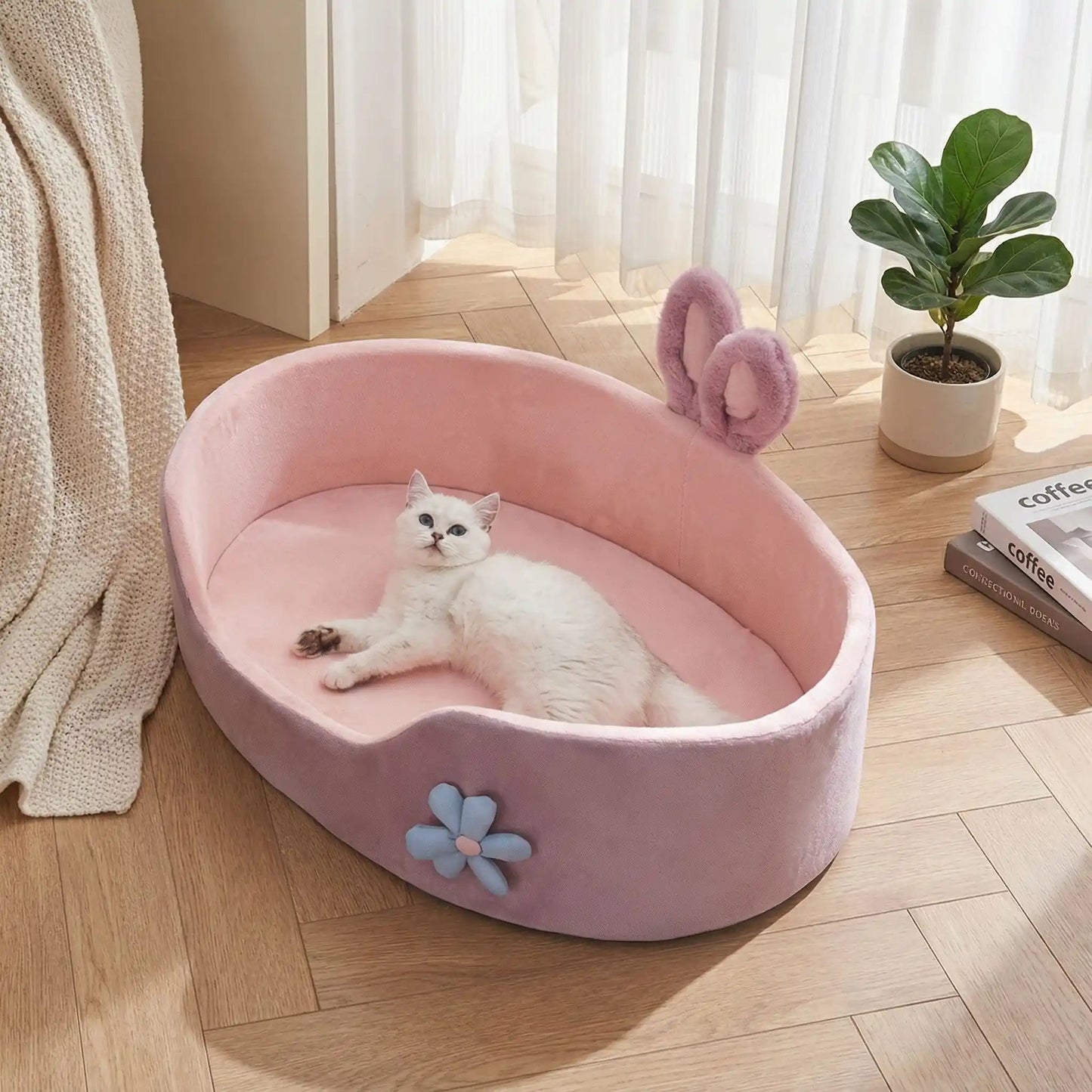 panier chat rose livre couverture rideaux plante