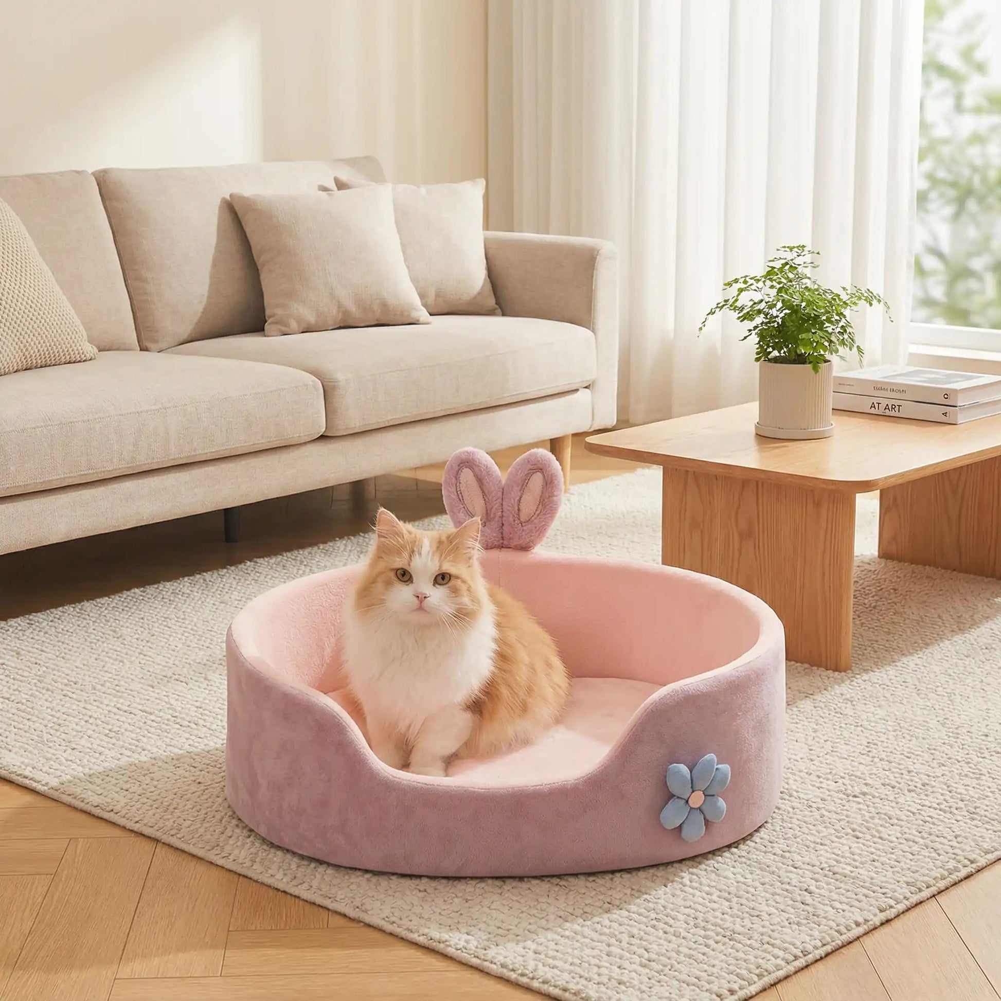 panier chat rose table livre coussin tapis blanc