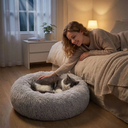 panier chat femme souriante caresse chat lit livre