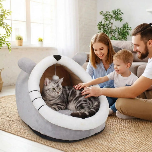 panier chat famille caresse chat tapis plante rideaux