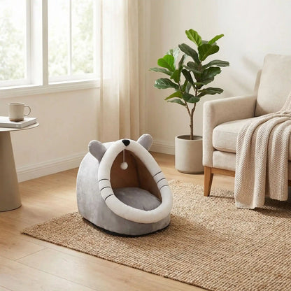 panier chat tapis couverture livre mug plante verte