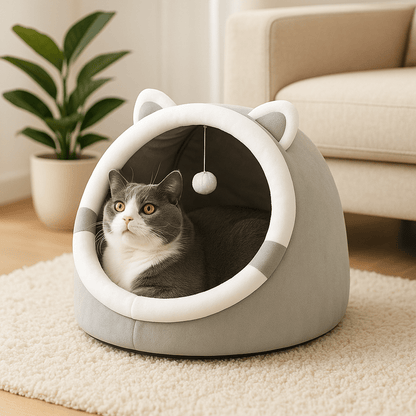 panier-pour-chat-couleur-gris-plante-verte-tapis