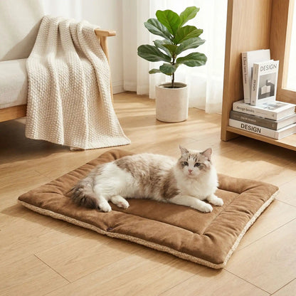panier pour chat couleur marron couverture blanche plante